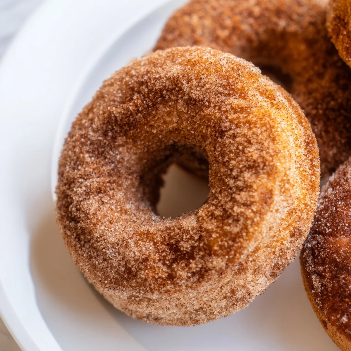 Plated Delightful Cinnamon Sugar Donuts sit beside a mug of coffee, highlighting their sweet, cinnamon-dusted surface and inviting homemade texture.
